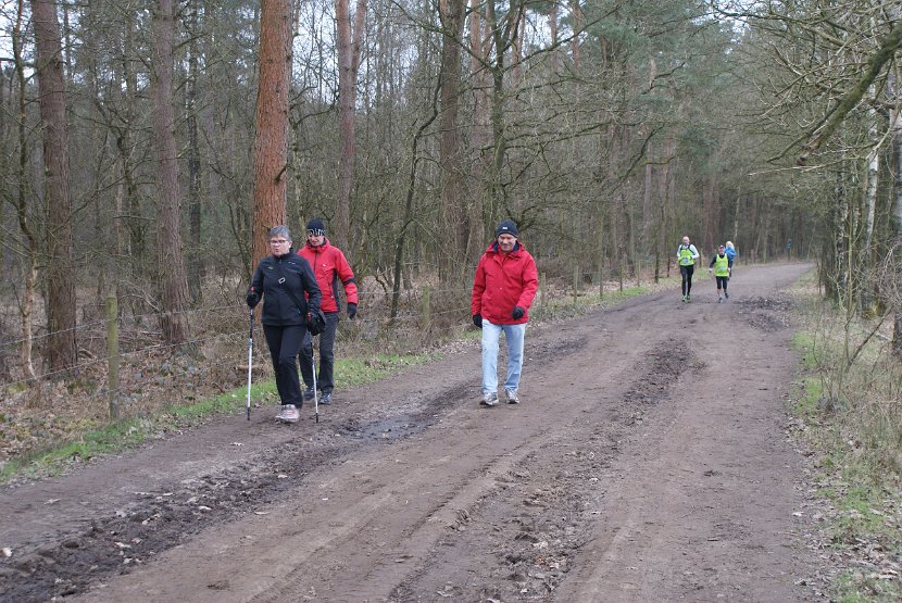 Bosloop Brecht - 16